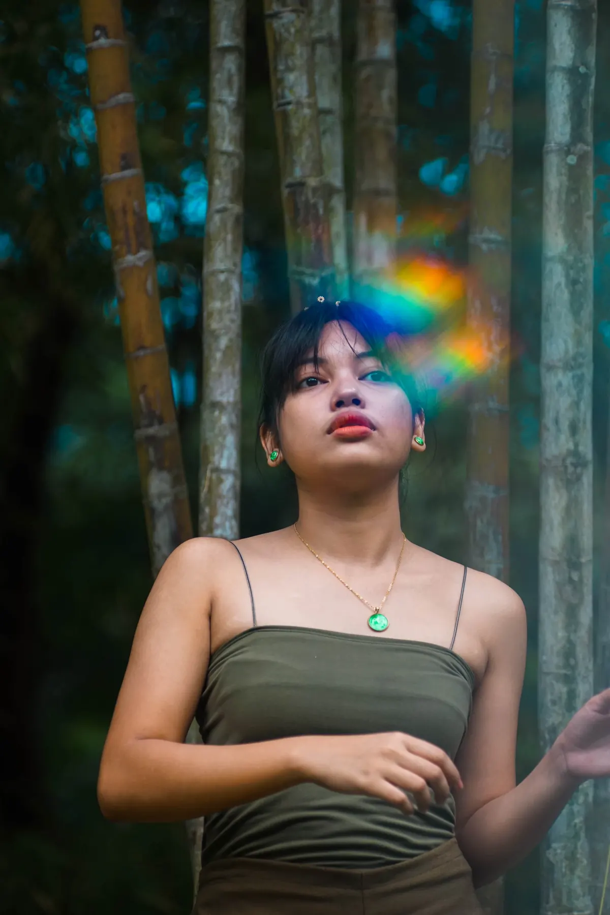 Bamboo, prism light