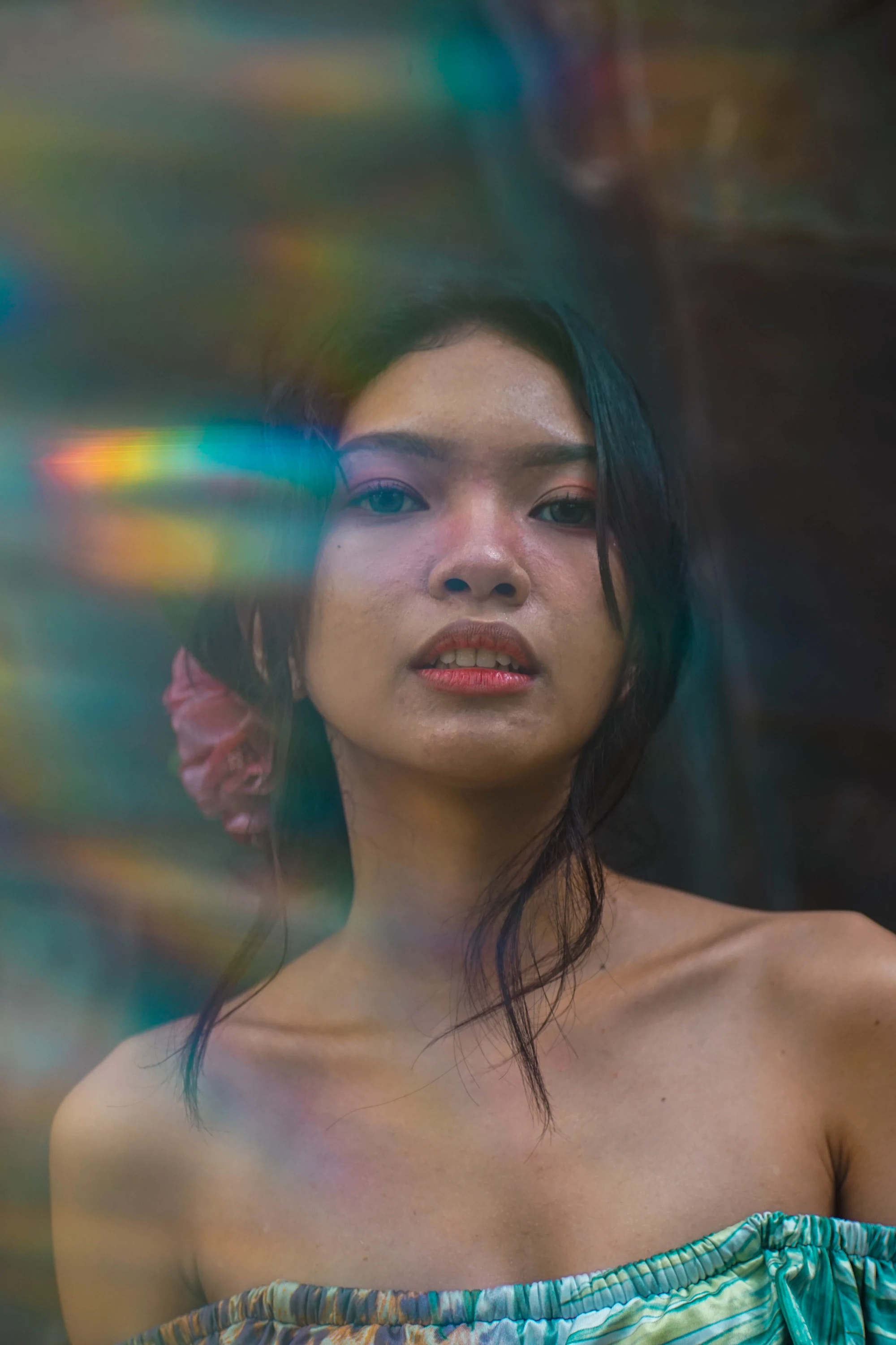 Pink flower, prism flare