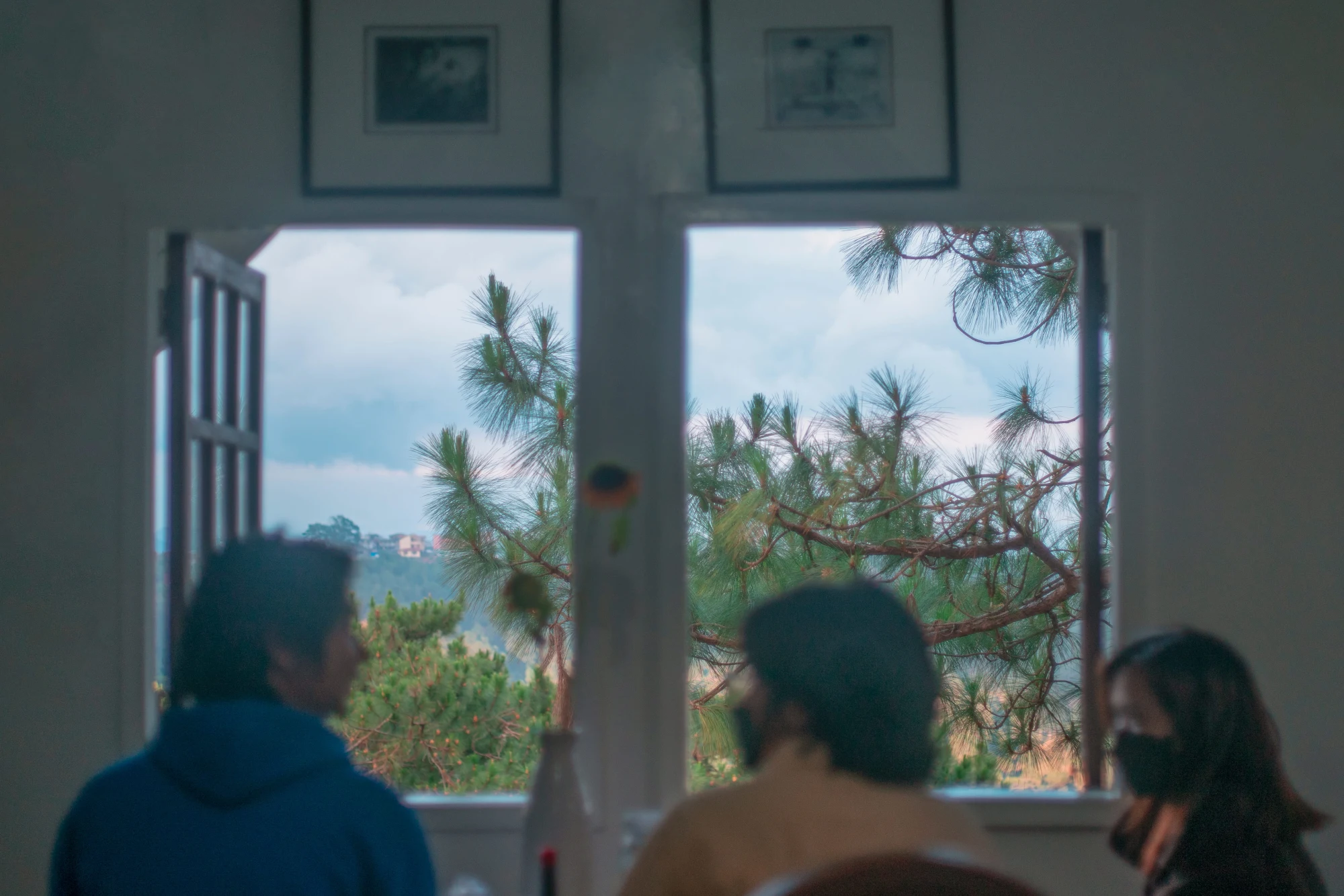 Pine window, Baguio
